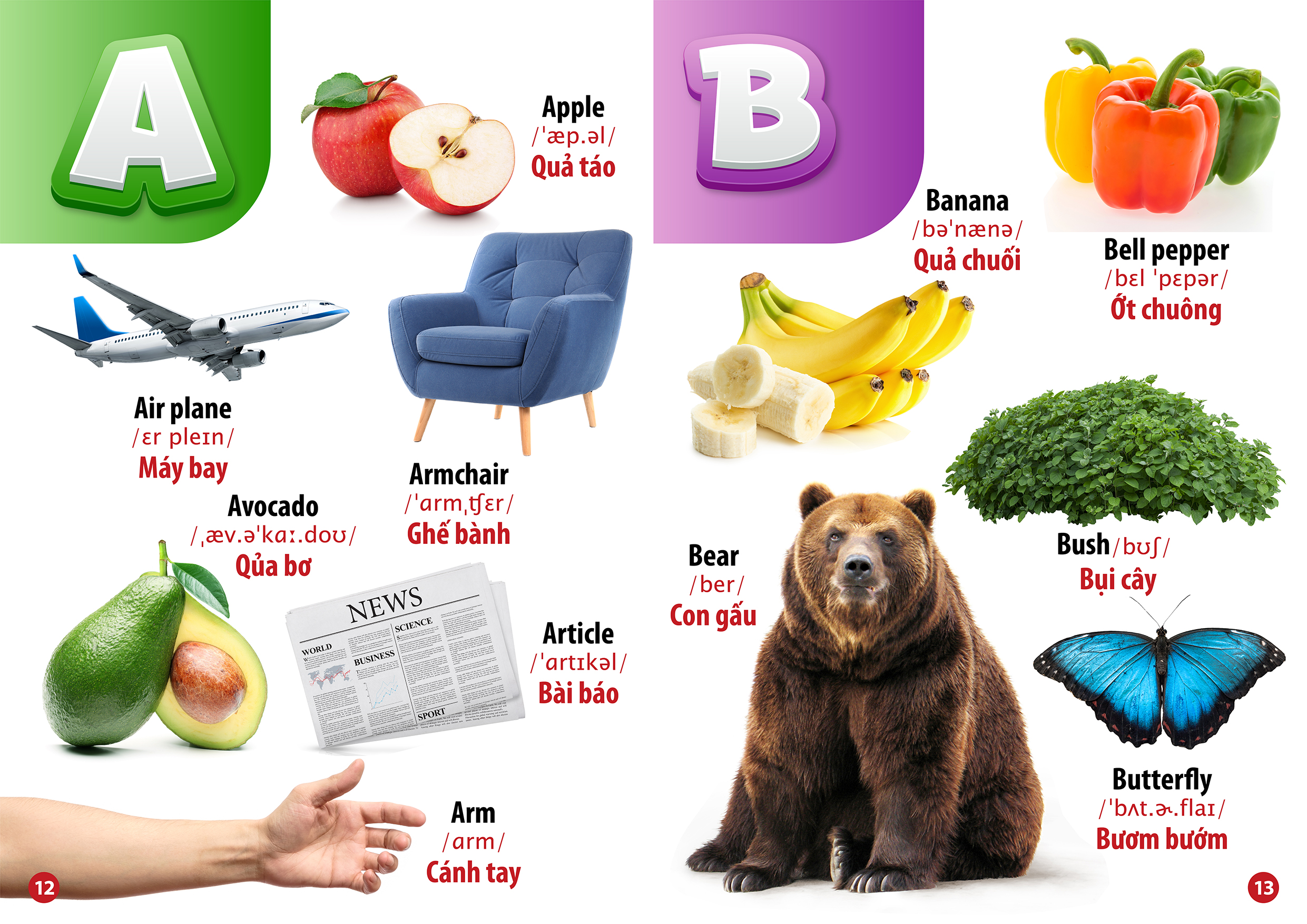 từ điển bằng hình chữ cái và số đếm (song ngữ anh - việt)