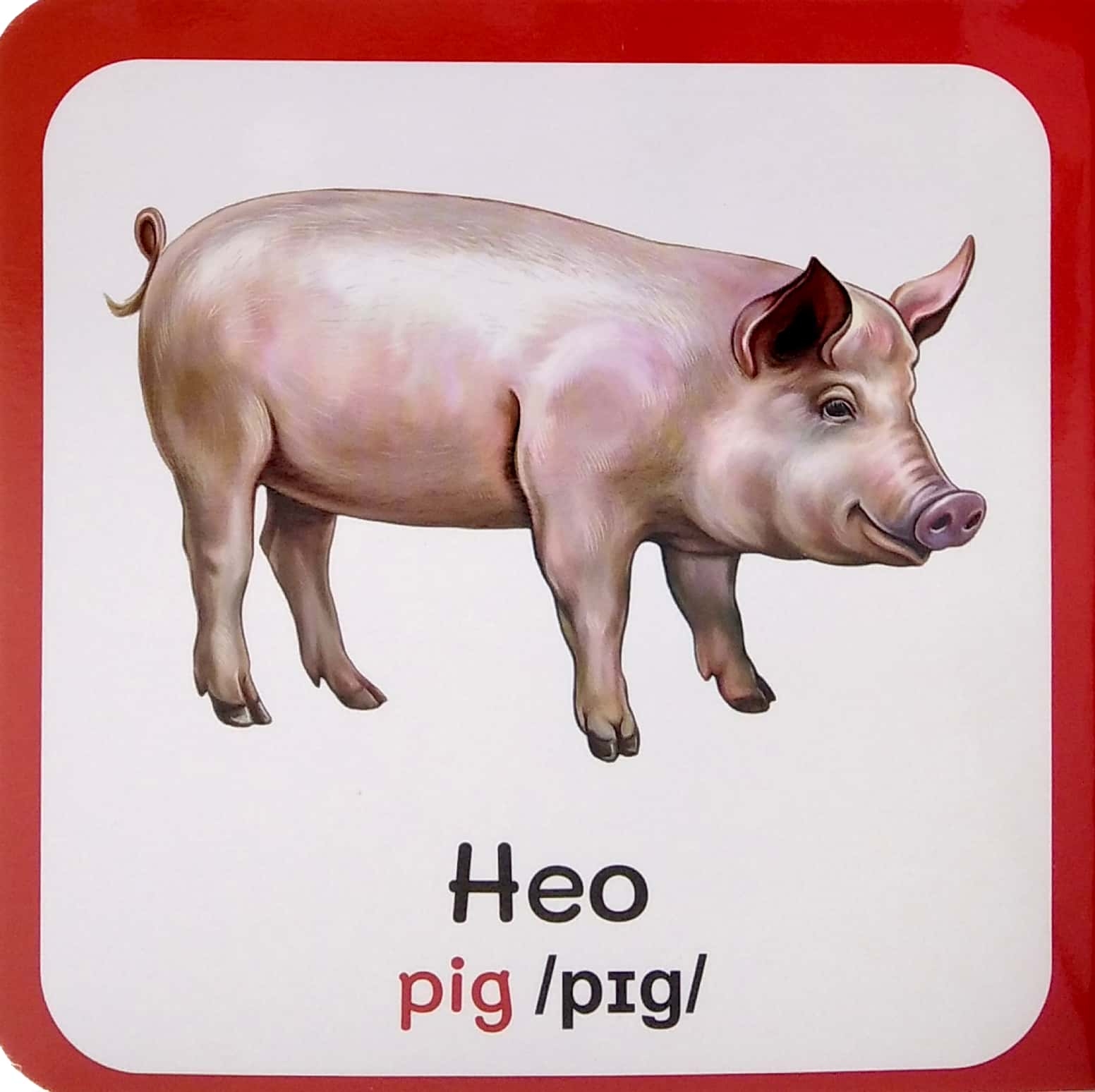 từ điển bằng hình đầu tiên của bé - baby's first picture dictionary - farm animals - động vật nuôi