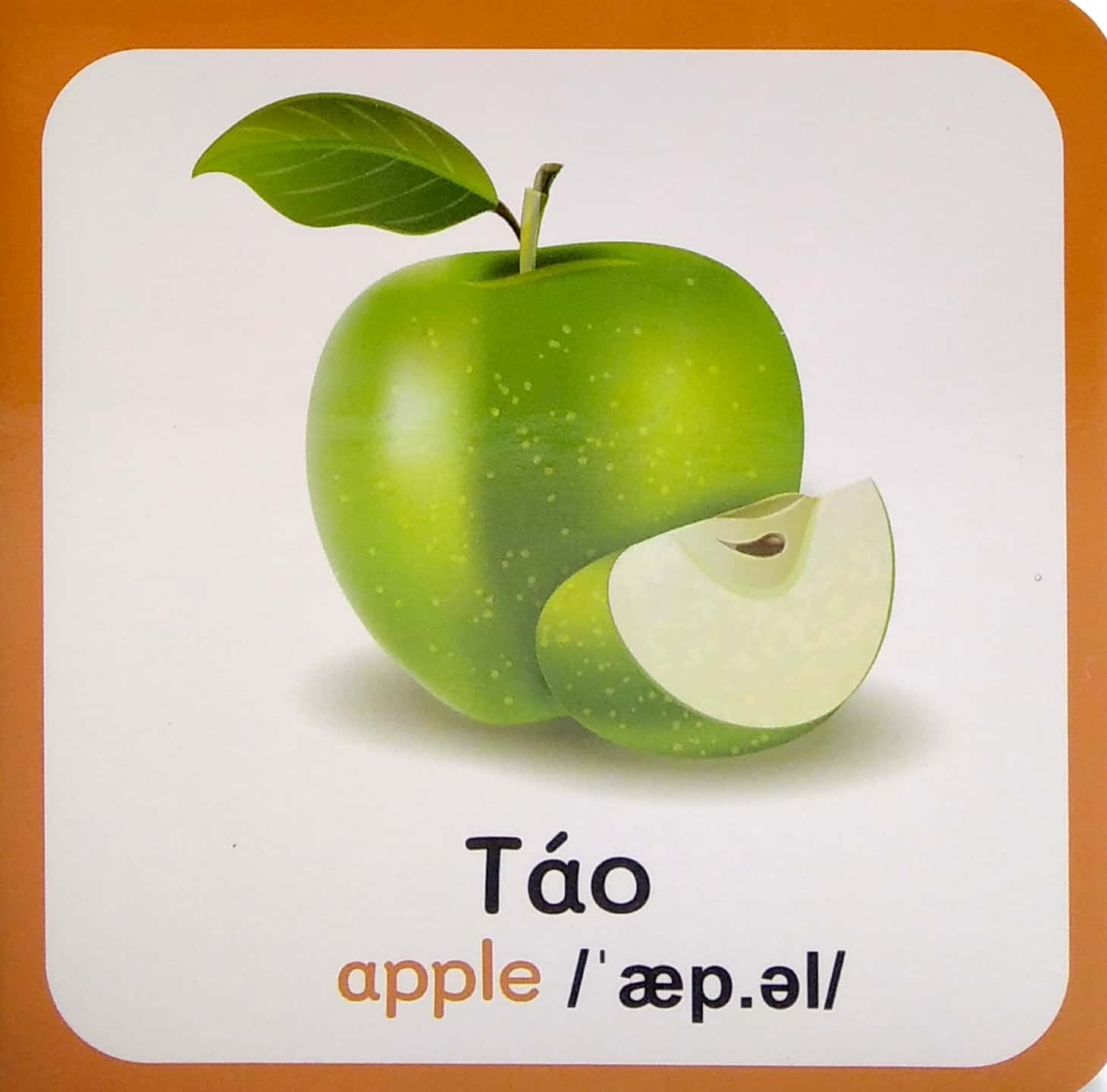 từ điển bằng hình đầu tiên của bé - baby's first picture dictionary - fruits - trái cây