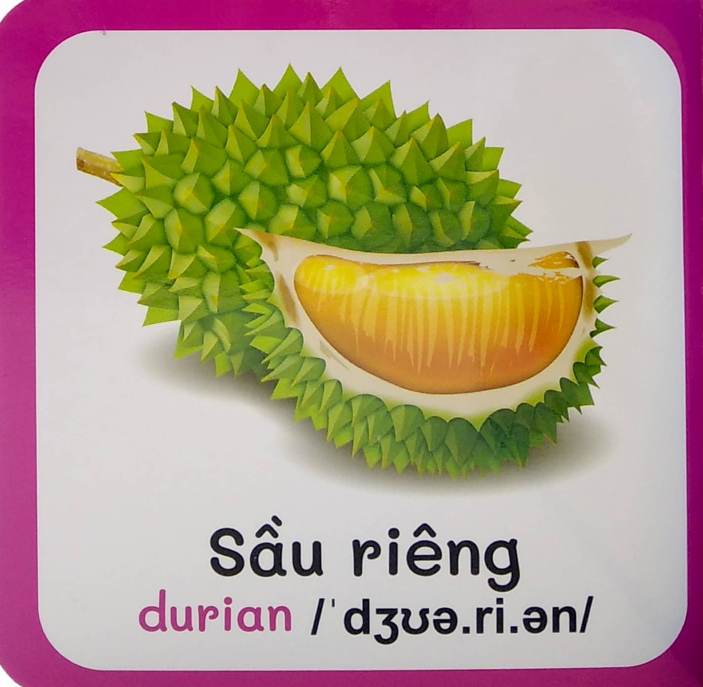 từ điển bằng hình đầu tiên của bé - baby's first picture dictionary - fruits - trái cây