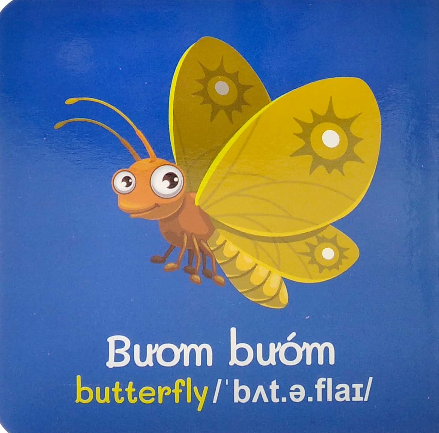 từ điển bằng hình đầu tiên của bé - baby's first picture dictionary - insects - côn trùng