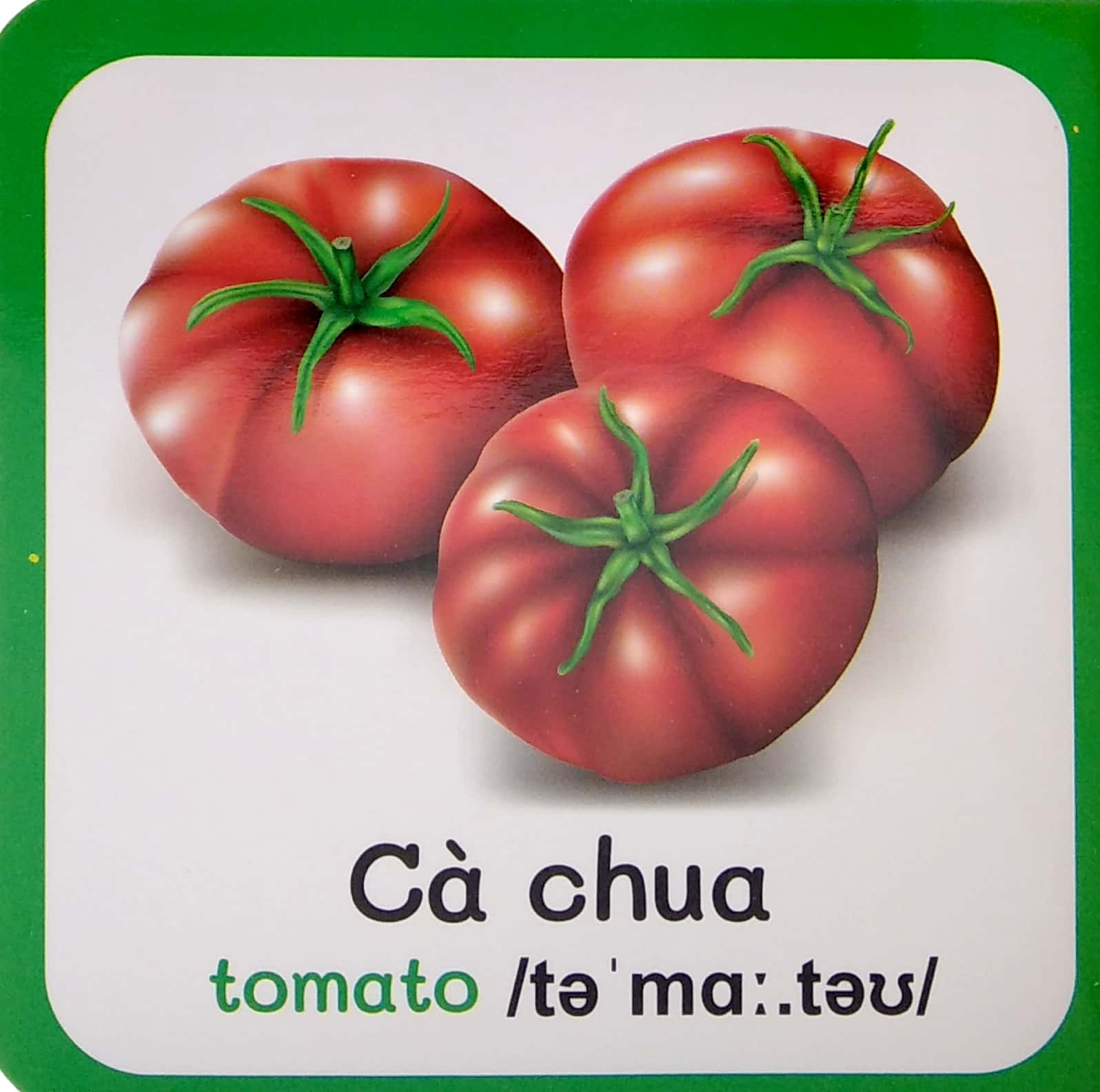 từ điển bằng hình đầu tiên của bé - baby's first picture dictionary - vegettables - rau củ