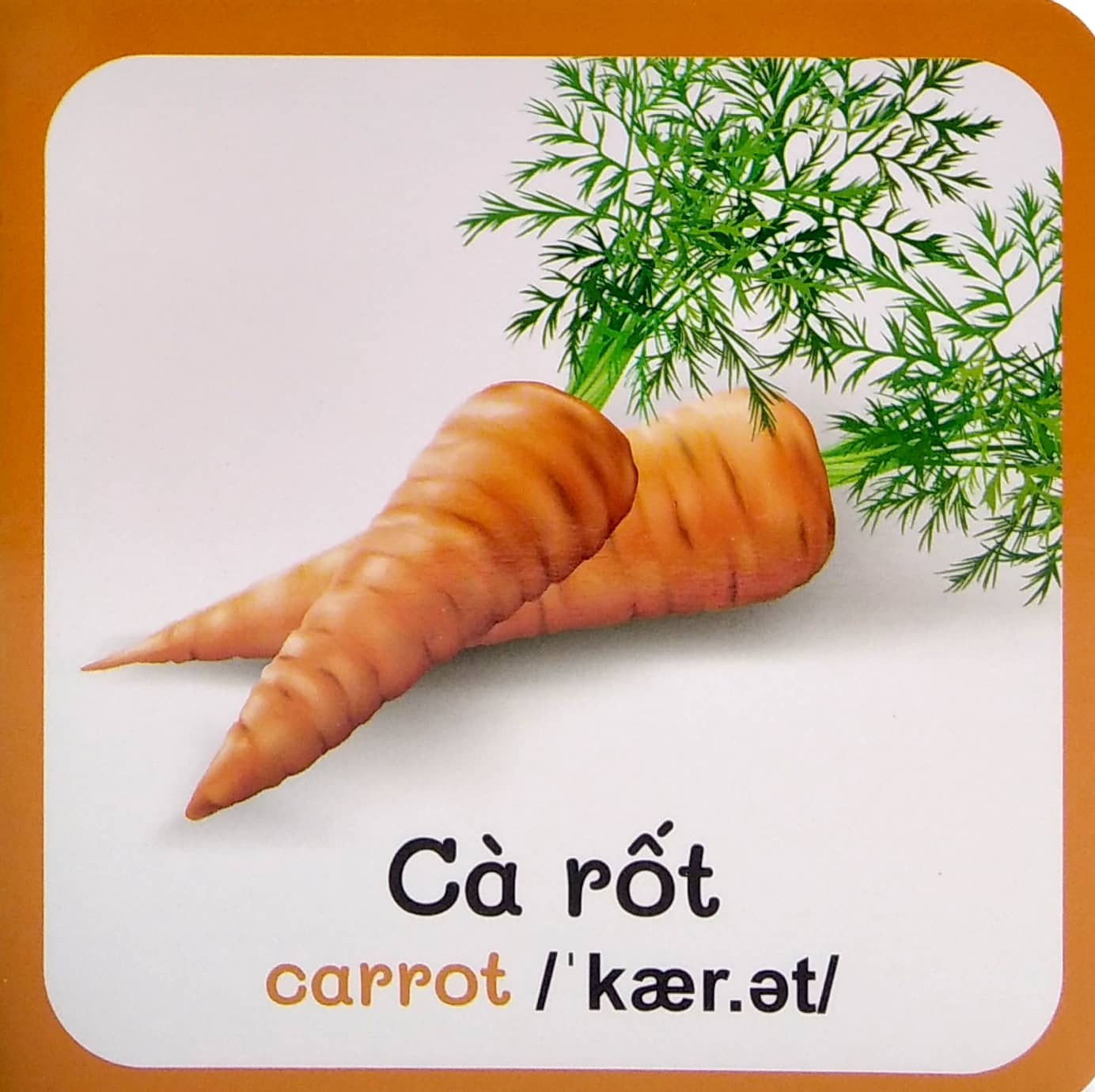 từ điển bằng hình đầu tiên của bé - baby's first picture dictionary - vegettables - rau củ