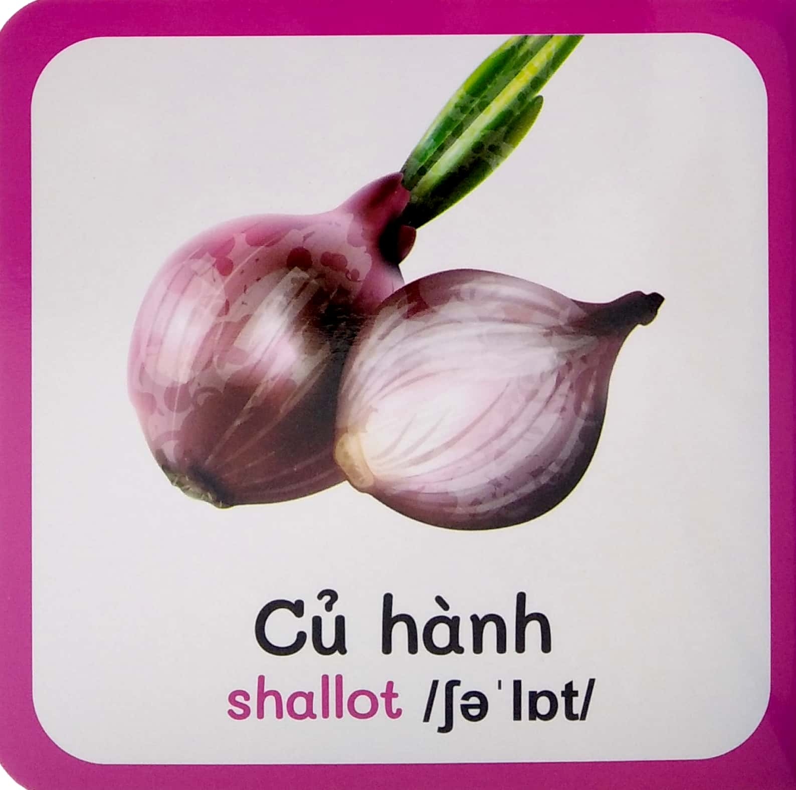 từ điển bằng hình đầu tiên của bé - baby's first picture dictionary - vegettables - rau củ