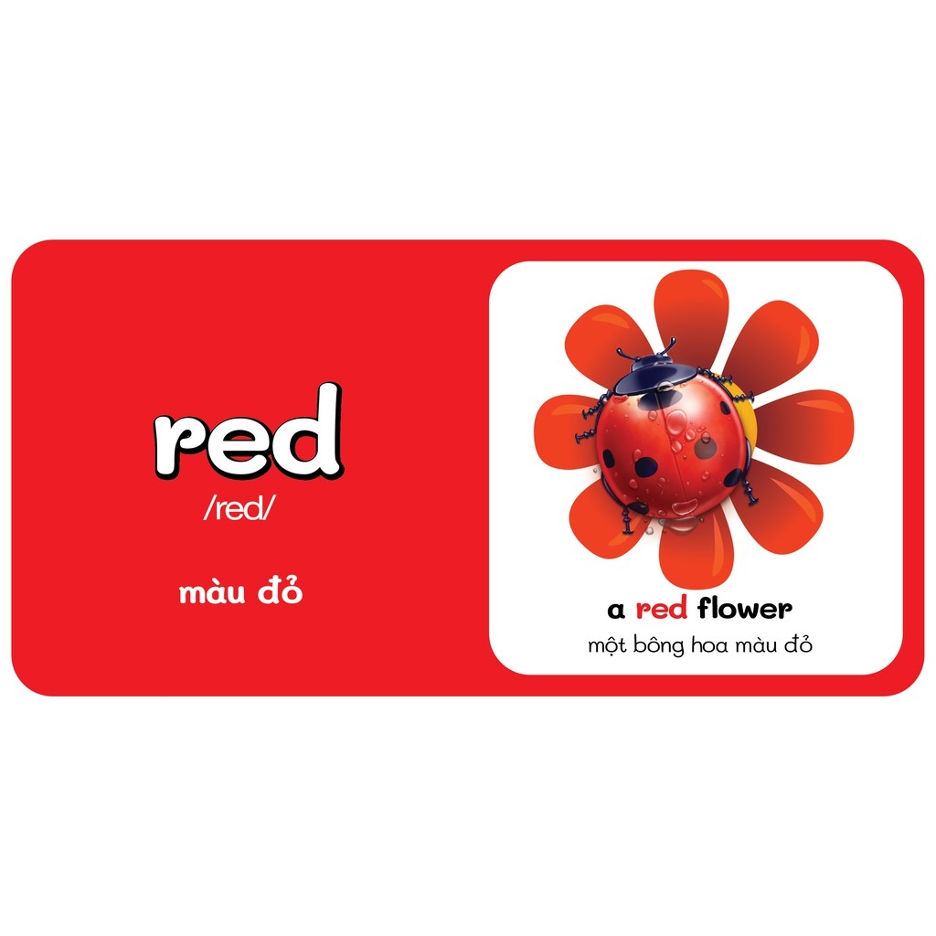 từ điển bằng hình đầu tiên của bé - colours - màu sắc