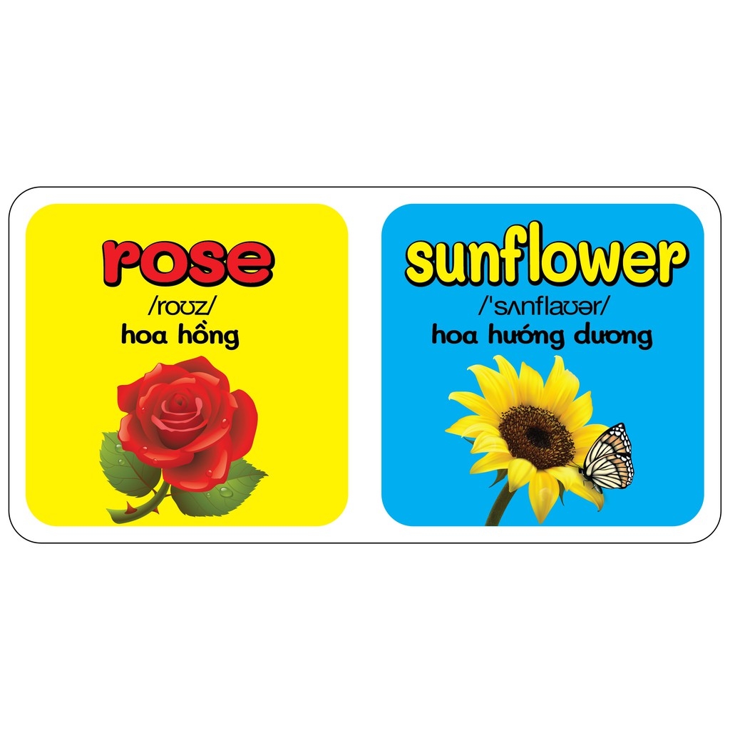 từ điển bằng hình đầu tiên của bé - flowers - hoa