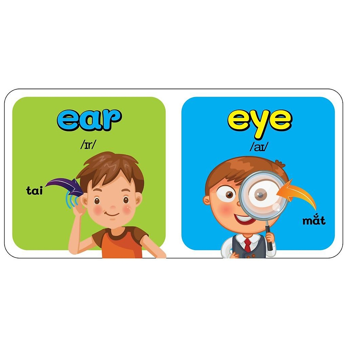 từ điển bằng hình đầu tiên của bé - my body - cơ thể