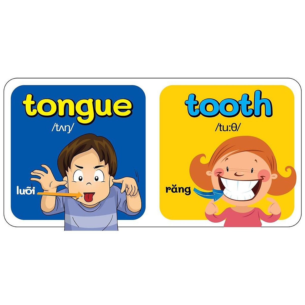 từ điển bằng hình đầu tiên của bé - my body - cơ thể