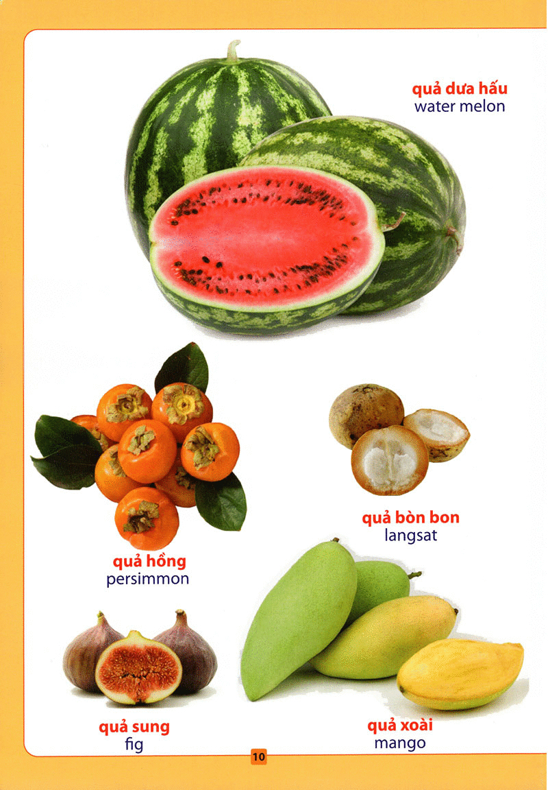 từ điển bằng hình - hoa, quả, rau củ (tái bản 2018)