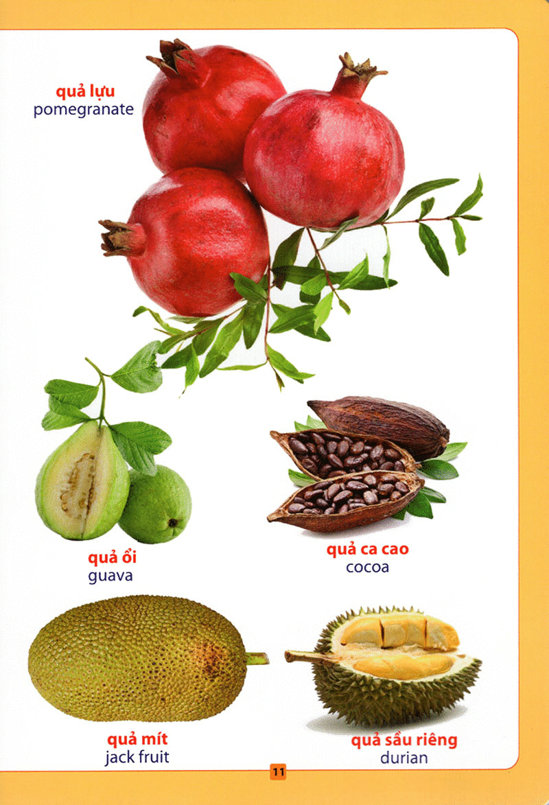 từ điển bằng hình - hoa, quả, rau củ (tái bản 2018)