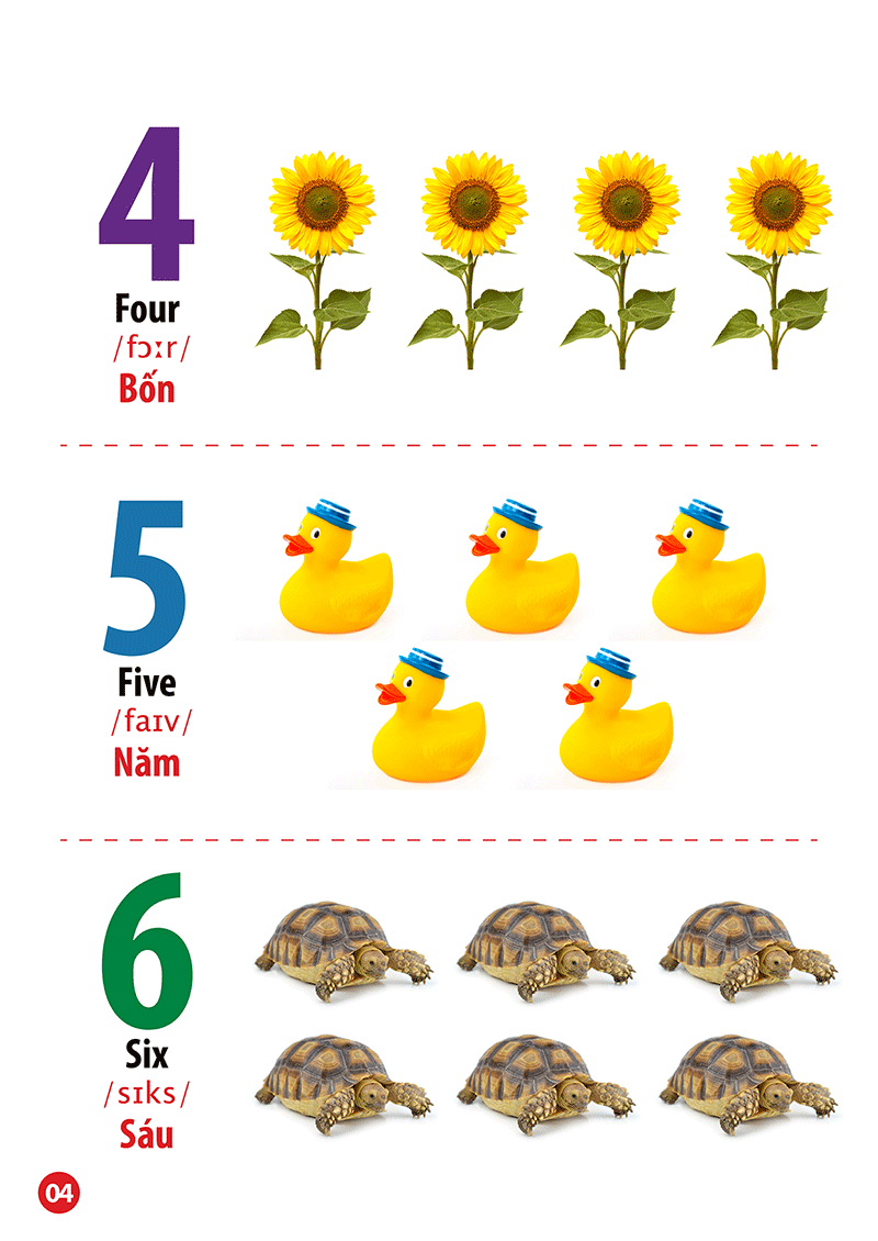 từ điển bằng hình - song ngữ anh-việt - chữ cái và số đếm