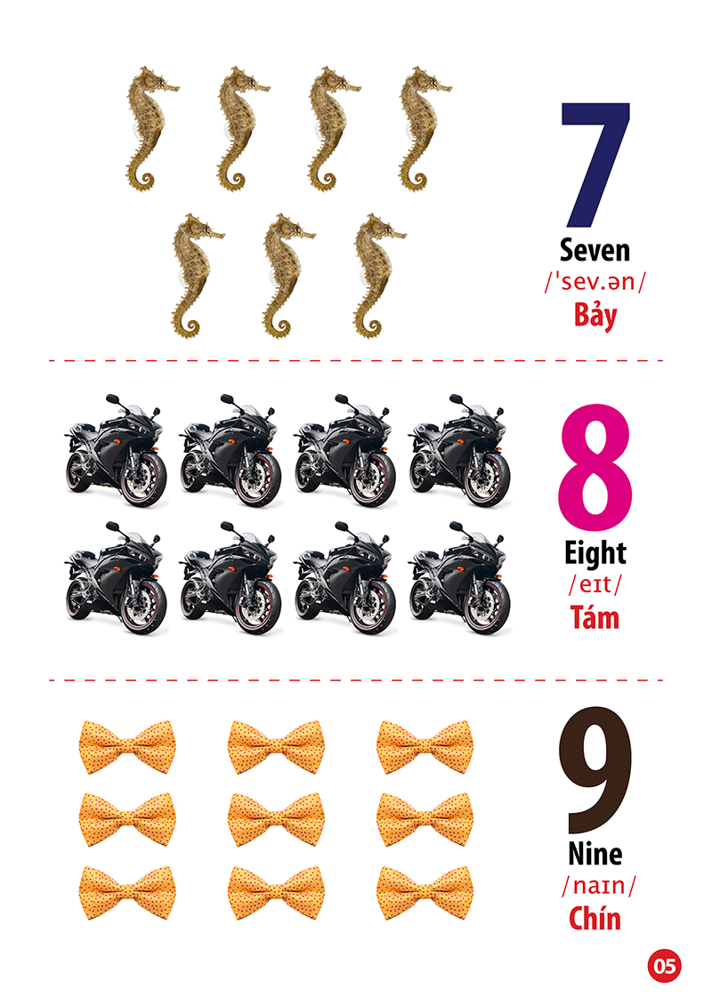 từ điển bằng hình - song ngữ anh-việt - chữ cái và số đếm
