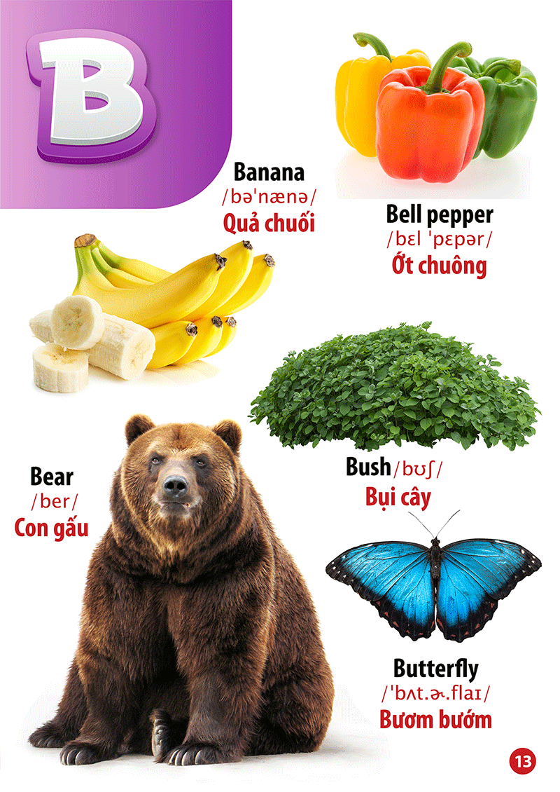 từ điển bằng hình - song ngữ anh-việt - chữ cái và số đếm