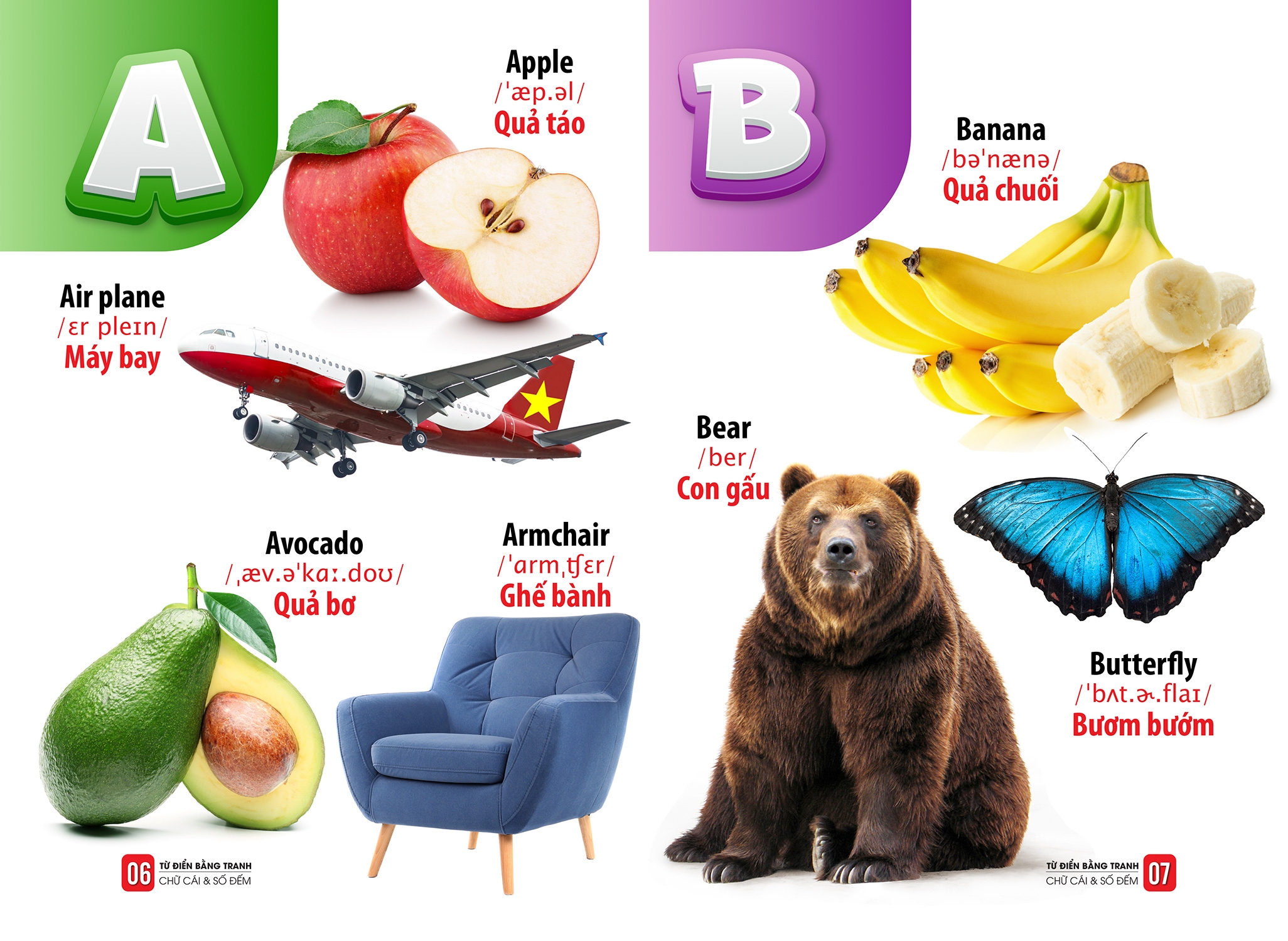 từ điển bằng tranh - chữ cái và số đếm