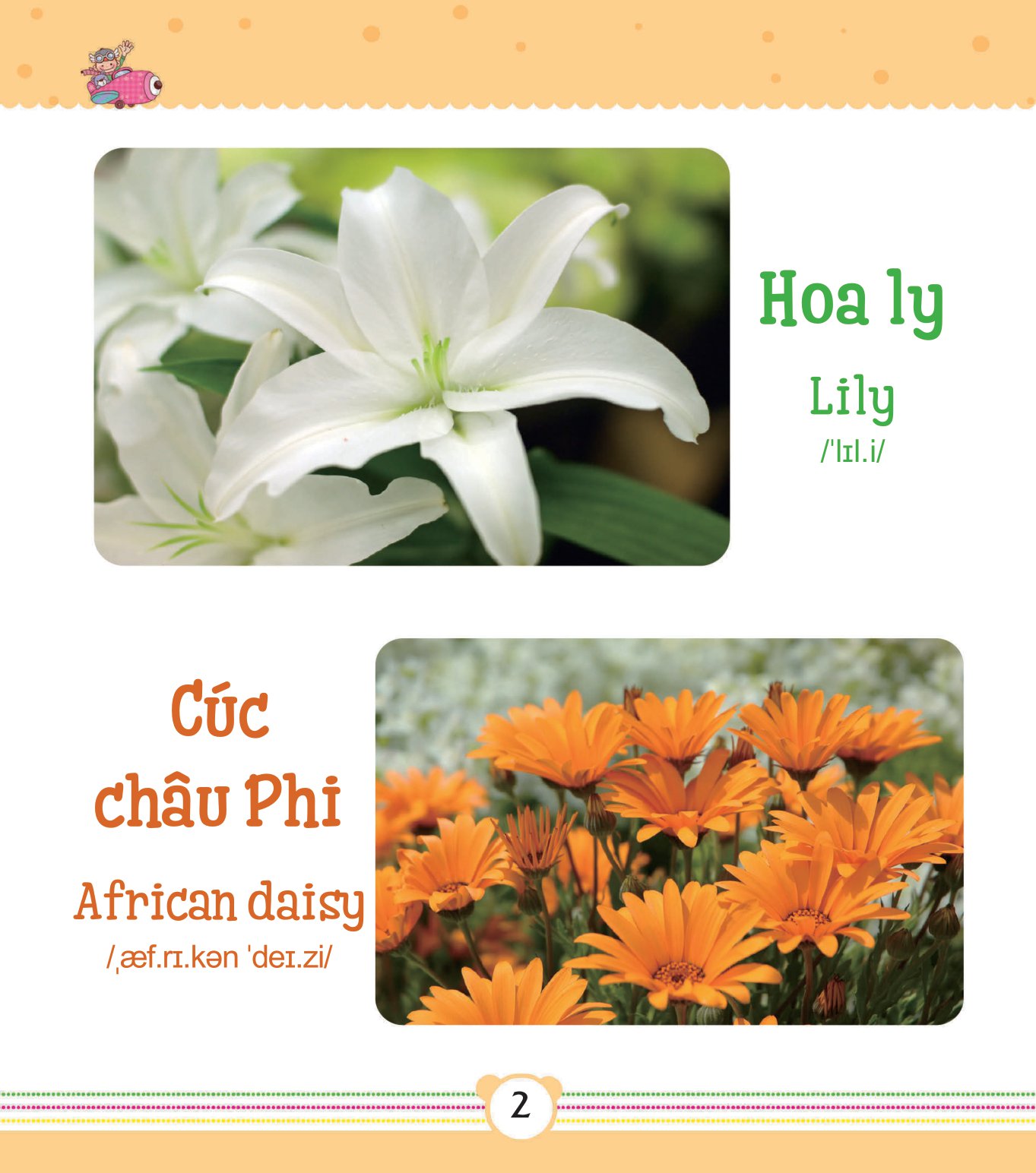 từ điển bằng tranh dành cho trẻ em - các loài hoa