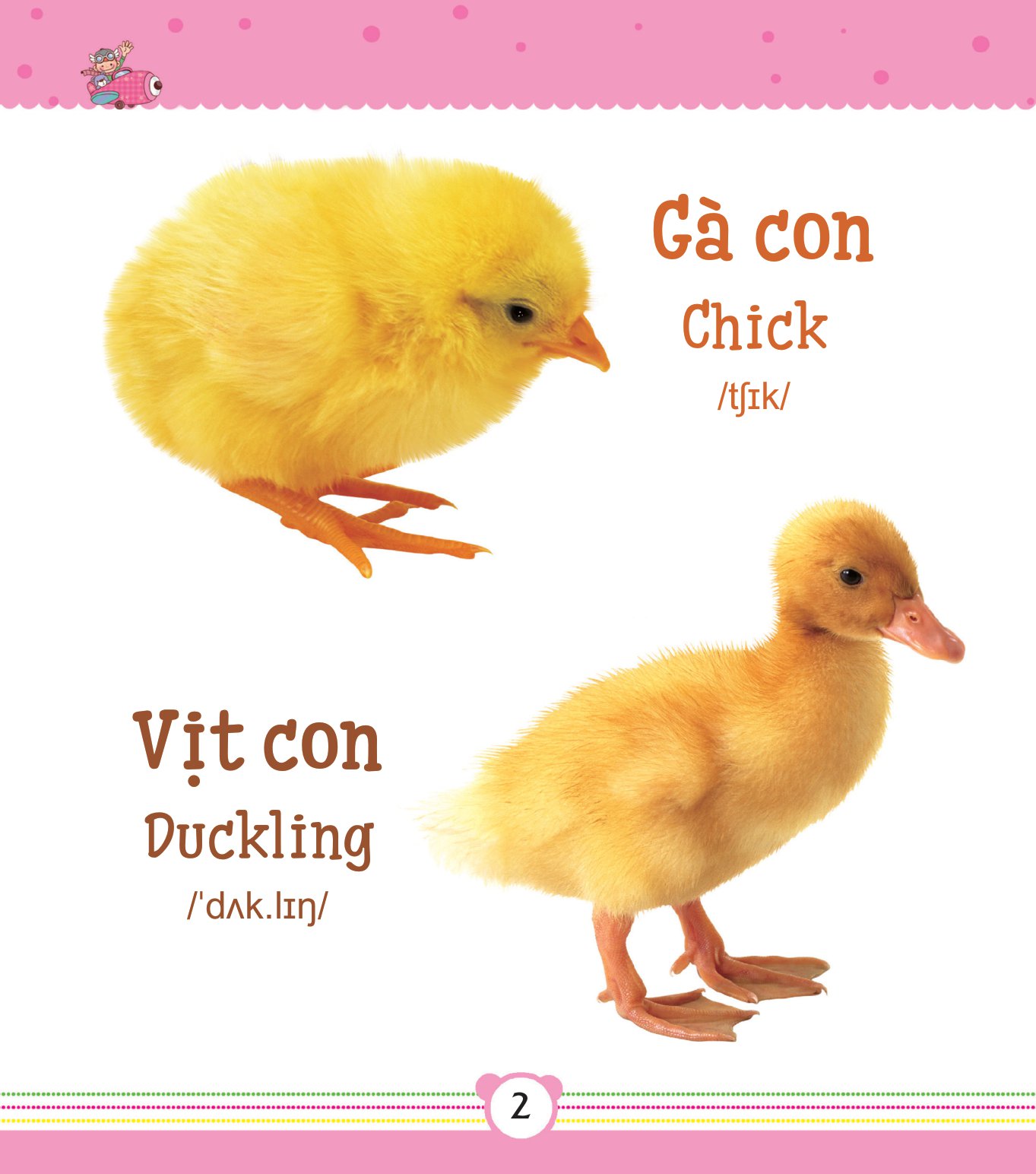 từ điển bằng tranh dành cho trẻ em - động vật