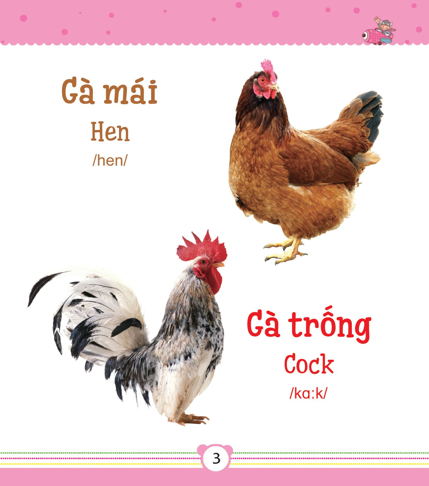 từ điển bằng tranh dành cho trẻ em - động vật