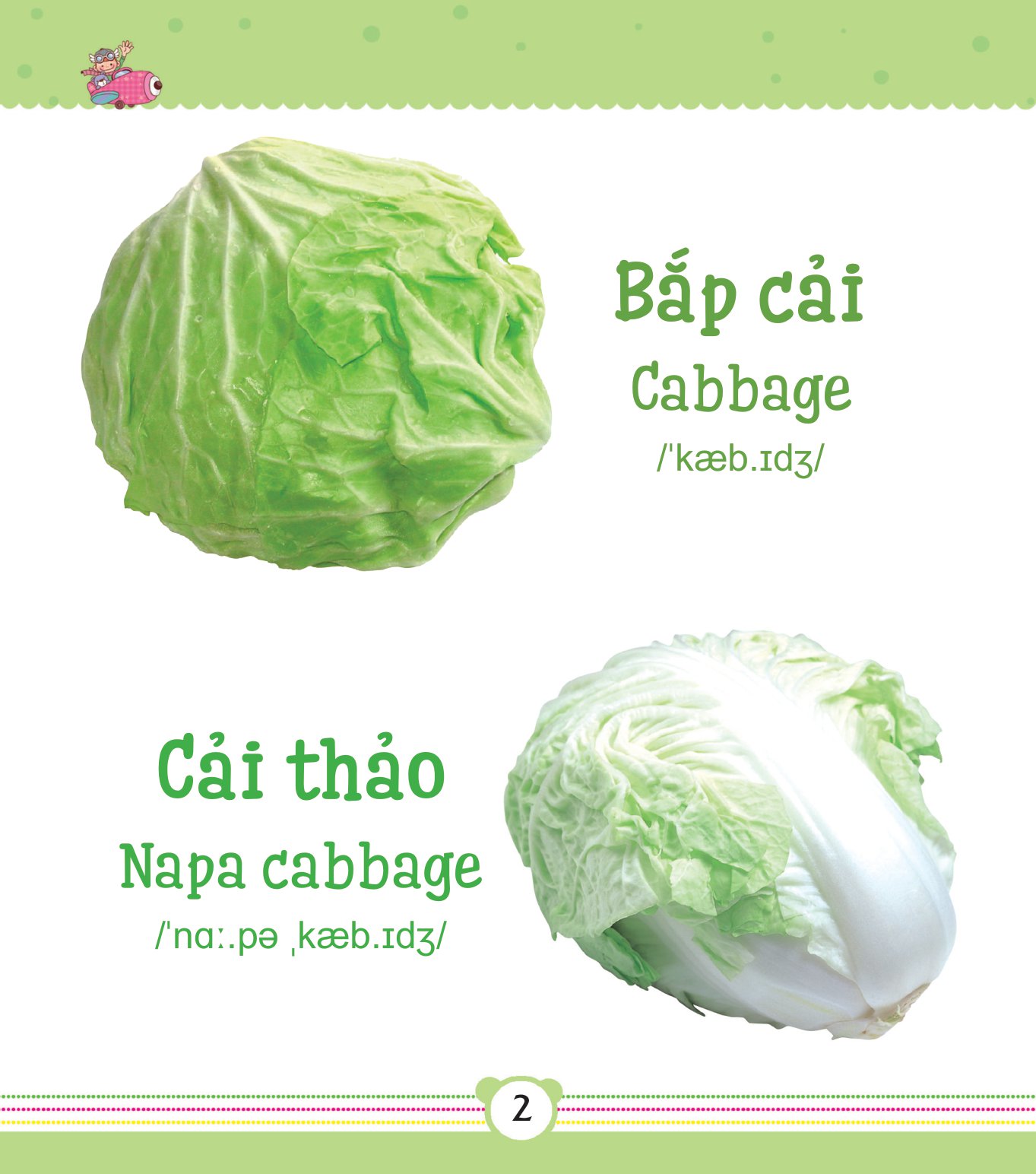 từ điển bằng tranh dành cho trẻ em - rau củ