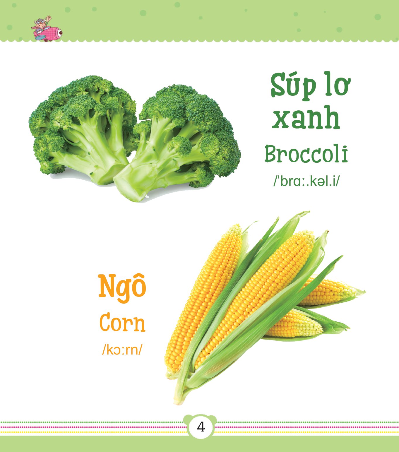 từ điển bằng tranh dành cho trẻ em - rau củ