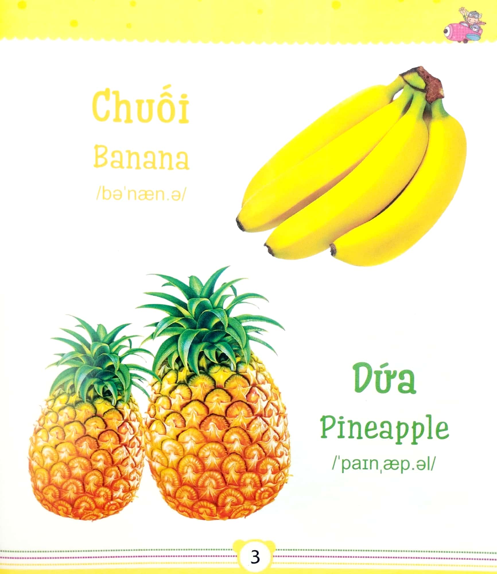 từ điển bằng tranh dành cho trẻ em - trái cây