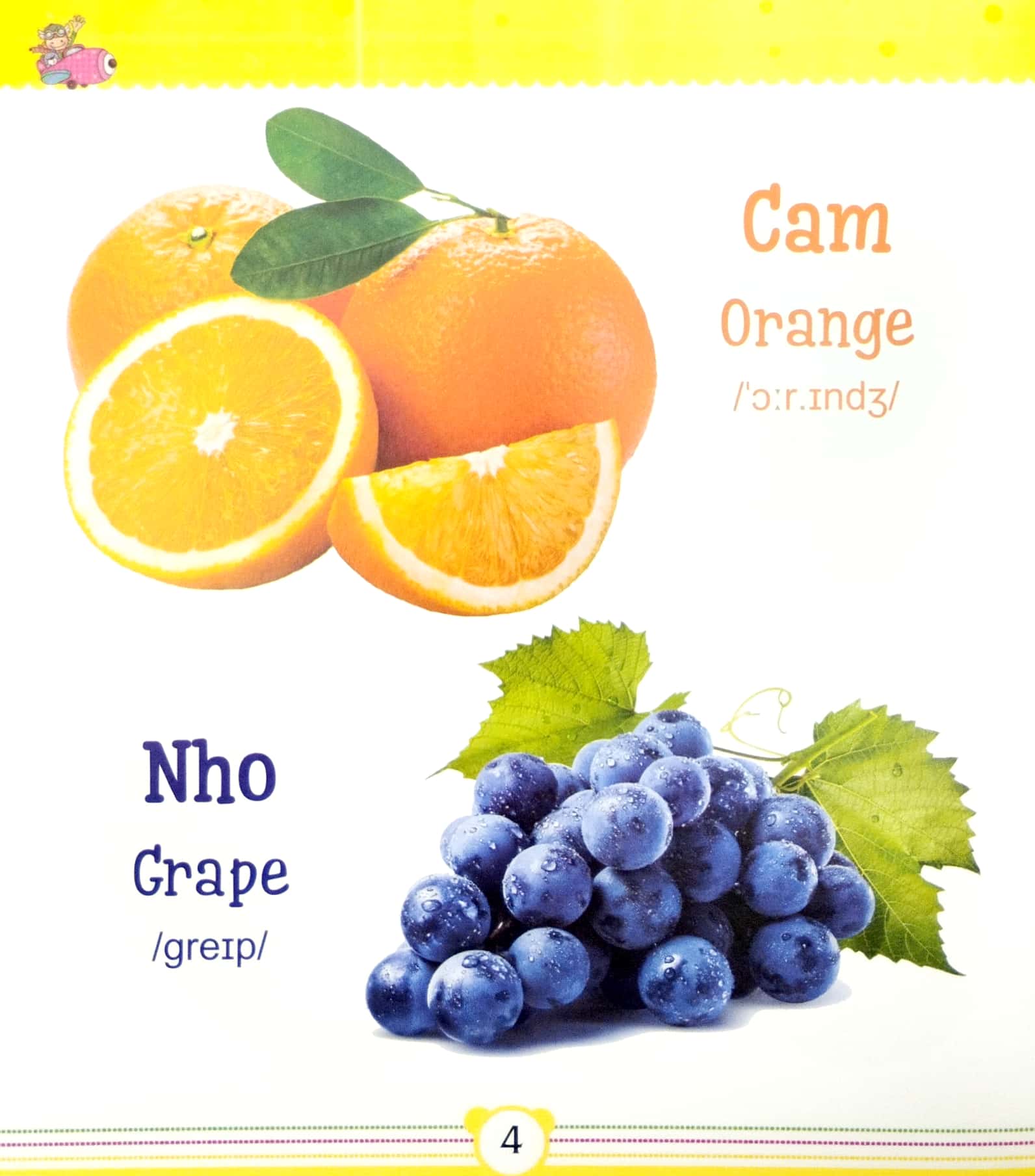 từ điển bằng tranh dành cho trẻ em - trái cây