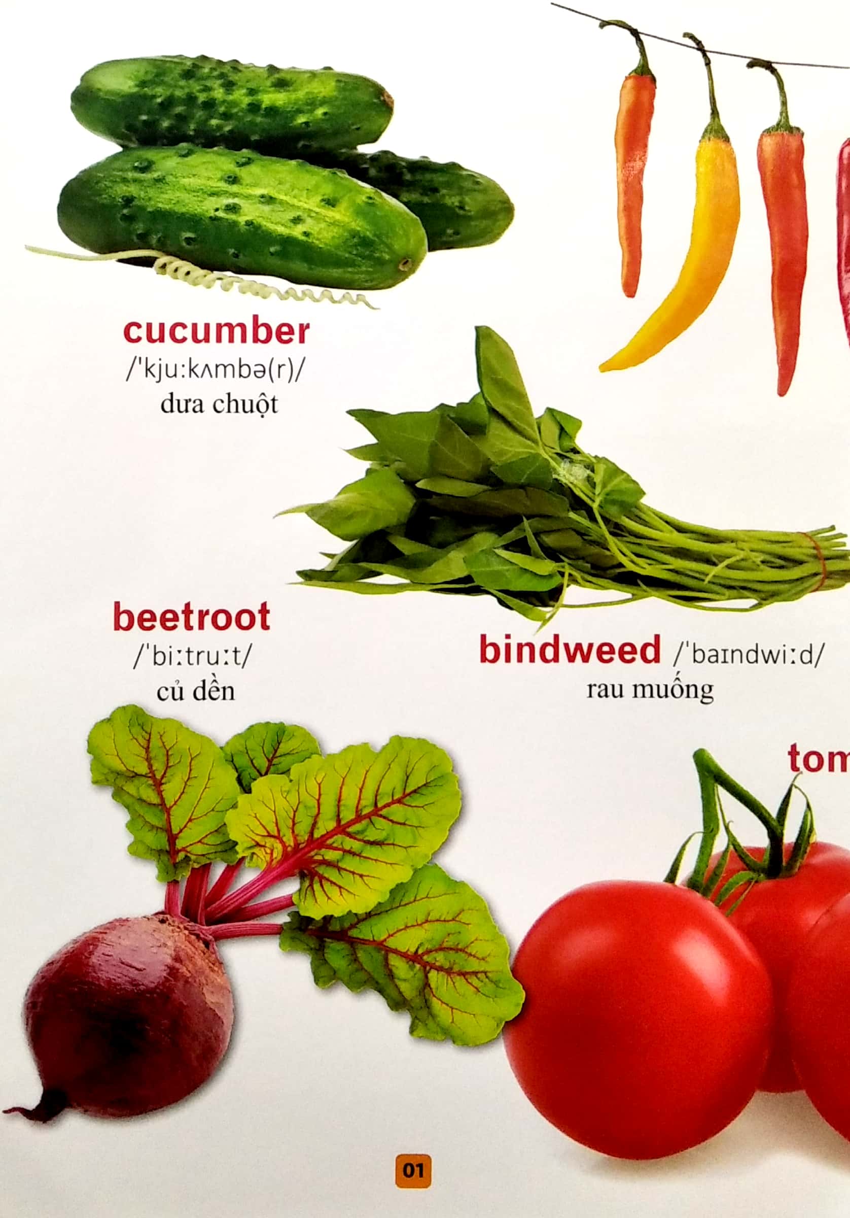 từ điển bằng tranh - rau củ quả (tái bản 2023)