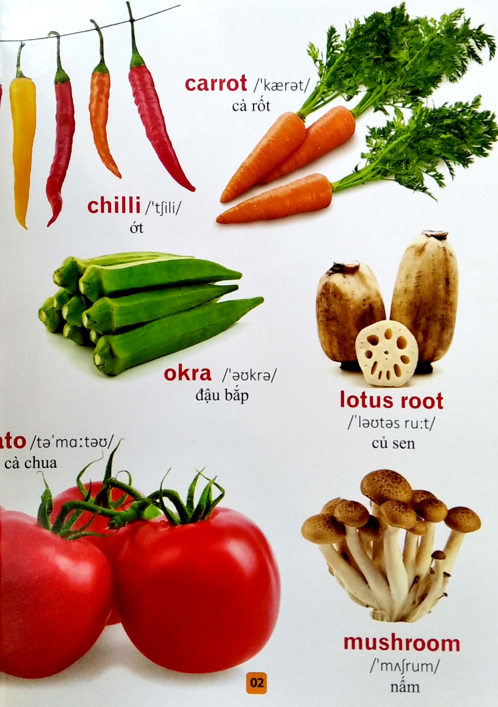 từ điển bằng tranh - rau củ quả (tái bản 2023)