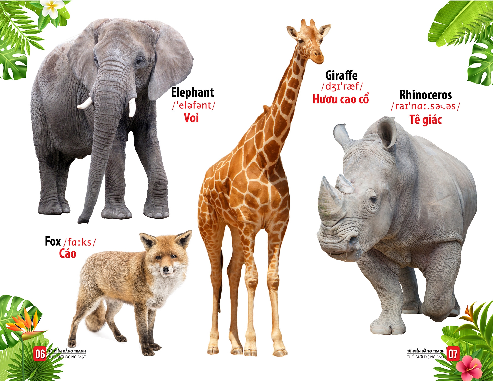 từ điển bằng tranh - thế giới động vật
