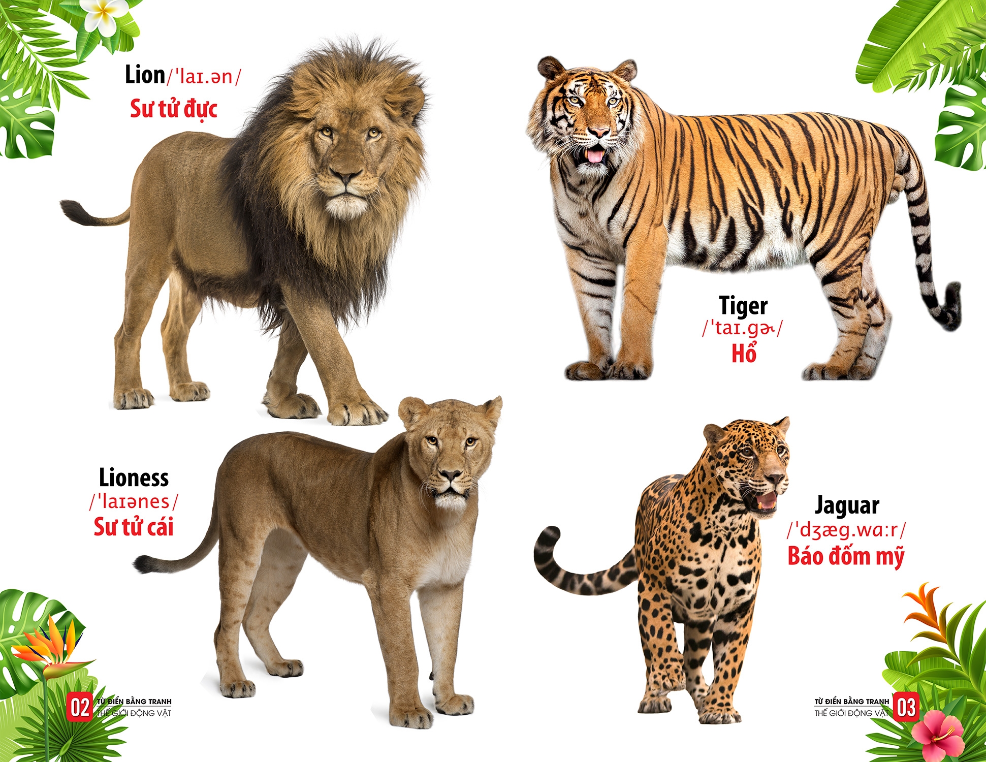 từ điển bằng tranh - thế giới động vật