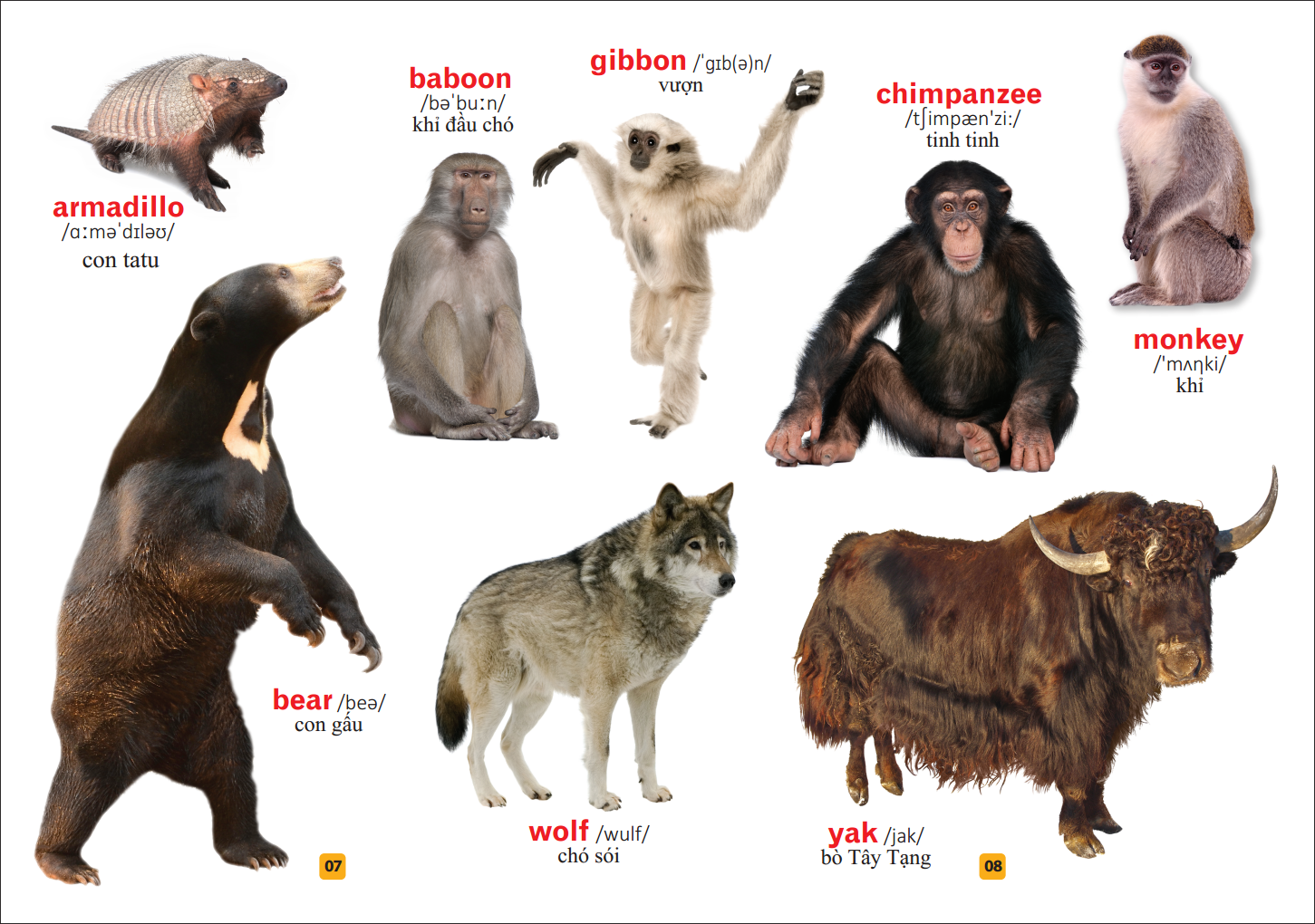 từ điển bằng tranh - thế giới động vật (tái bản)