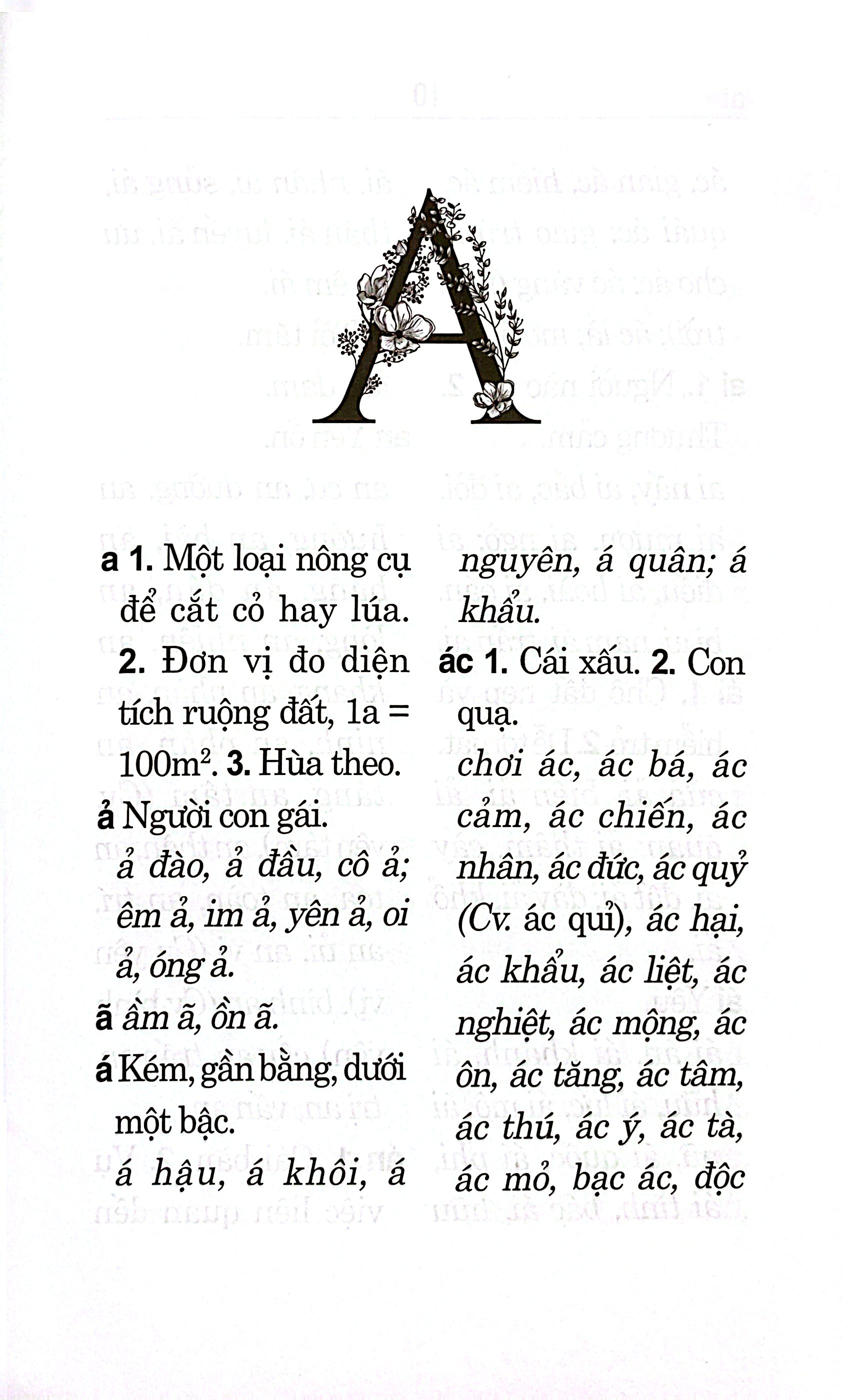 Từ Điển Chính Tả Tiếng Việt