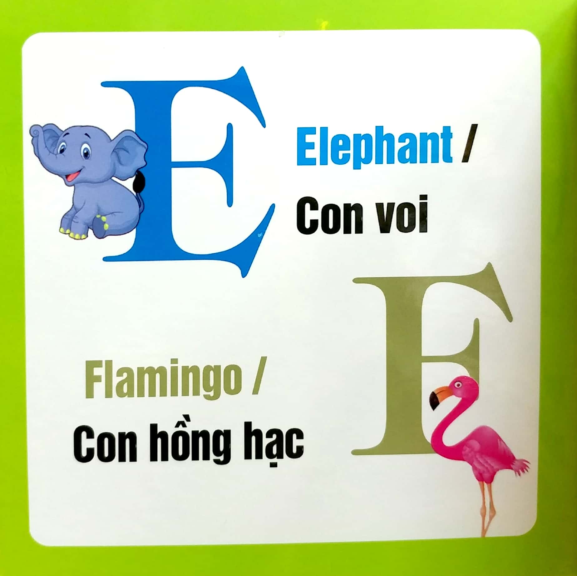 từ điển hình ảnh cho bé - chữ cái tiếng anh