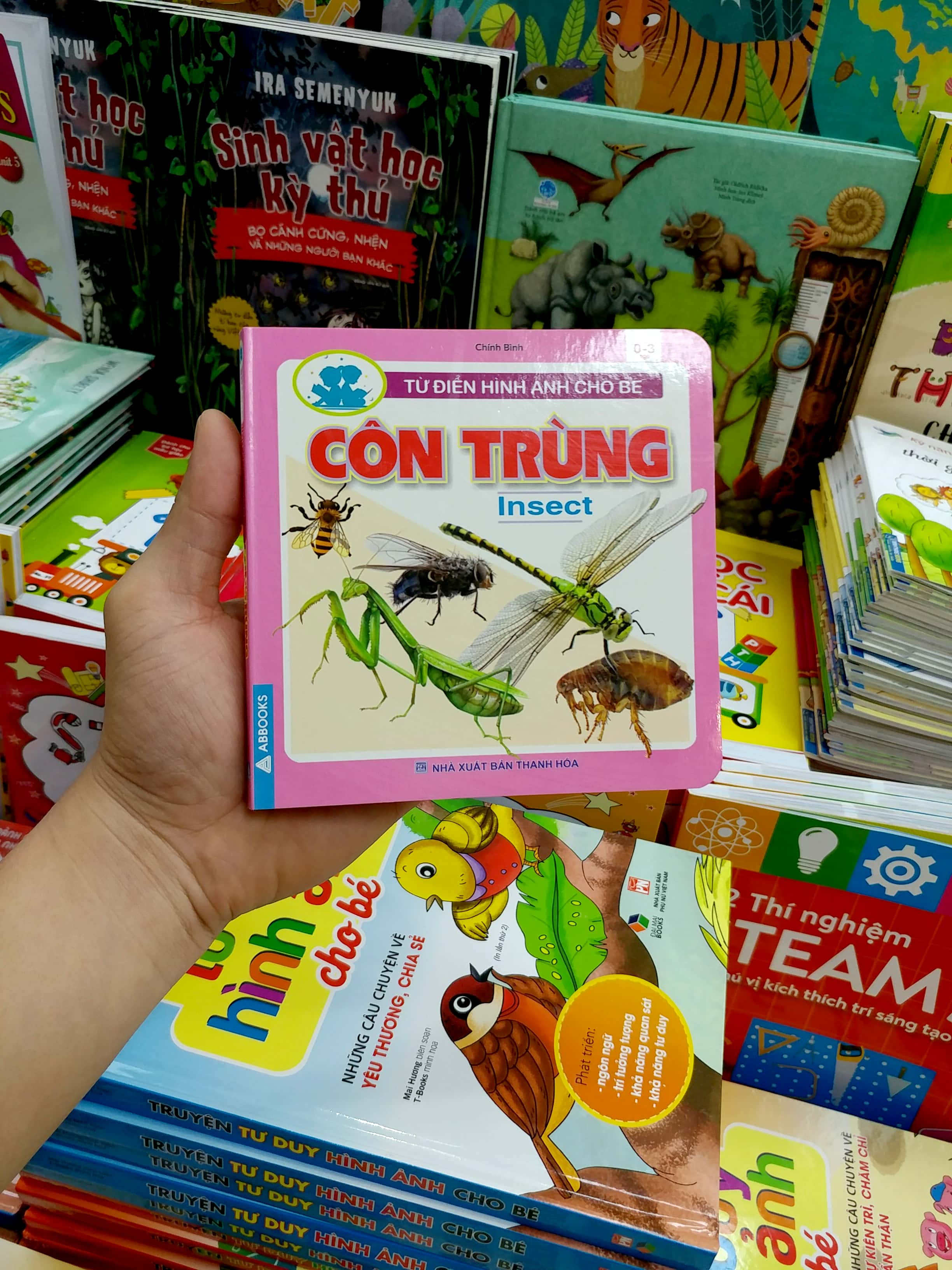 từ điển hình ảnh cho bé - côn trùng