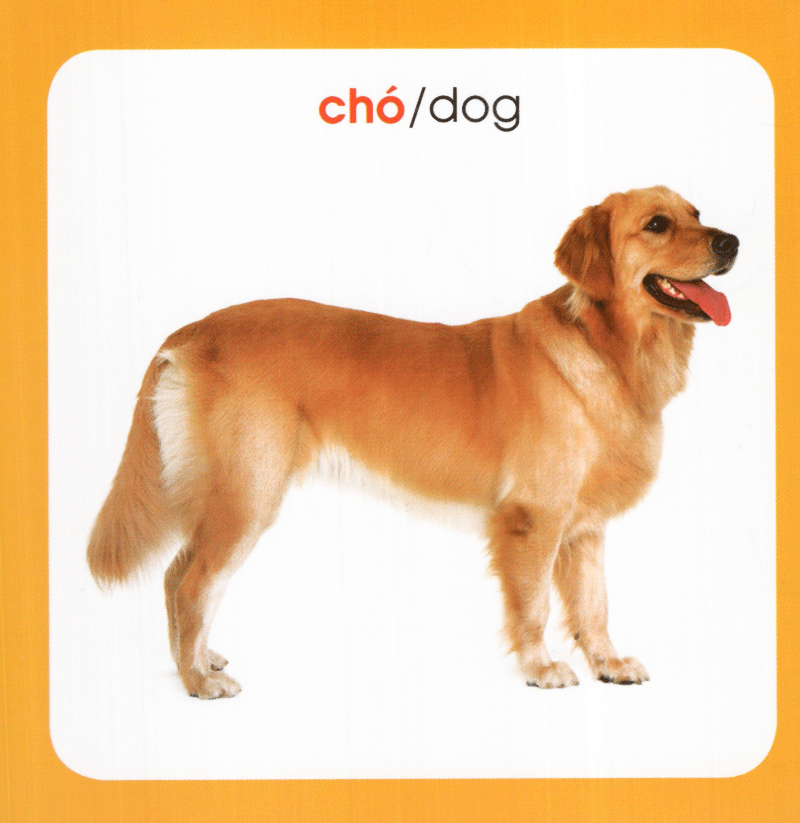 từ điển hình ảnh cho bé - động vật (tái bản 2019)