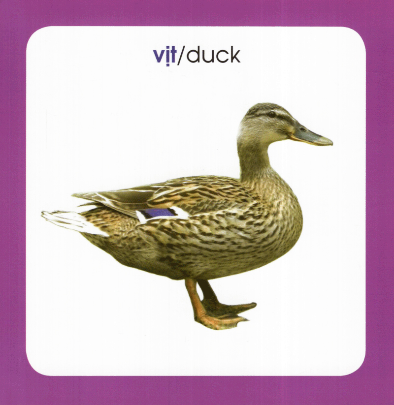 từ điển hình ảnh cho bé - động vật (tái bản 2019)