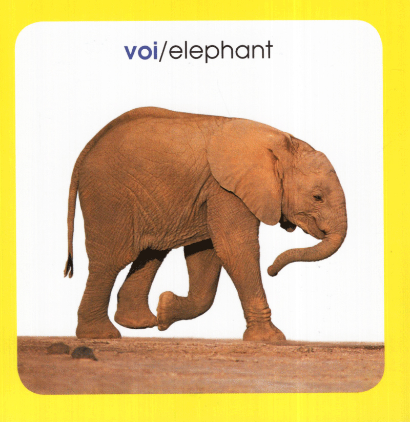 từ điển hình ảnh cho bé - động vật (tái bản 2019)