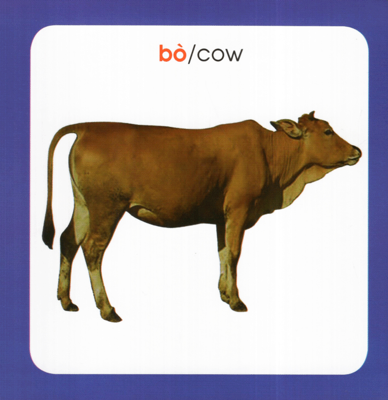 từ điển hình ảnh cho bé - động vật (tái bản 2019)