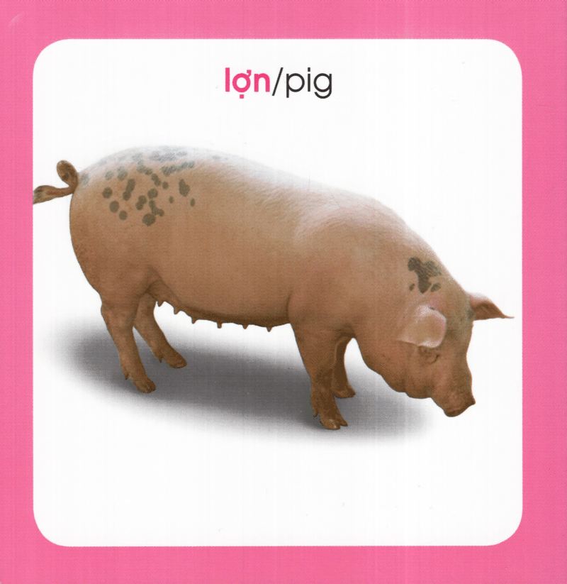 từ điển hình ảnh cho bé - động vật (tái bản 2019)