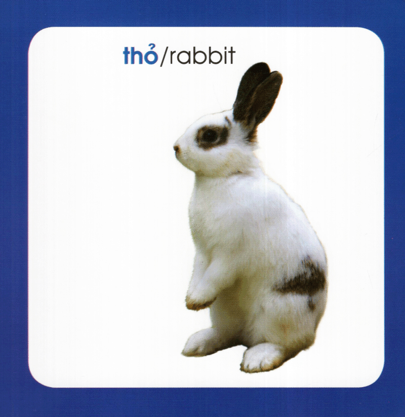 từ điển hình ảnh cho bé - động vật (tái bản 2019)