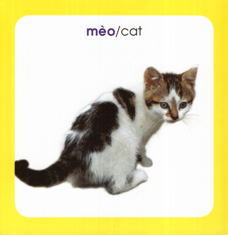 từ điển hình ảnh cho bé - động vật (tái bản 2019)