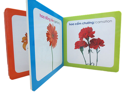 từ điển hình ảnh cho bé - hoa (tái bản 2019)