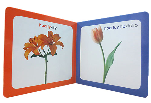 từ điển hình ảnh cho bé - hoa (tái bản 2019)