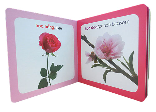 từ điển hình ảnh cho bé - hoa (tái bản 2019)