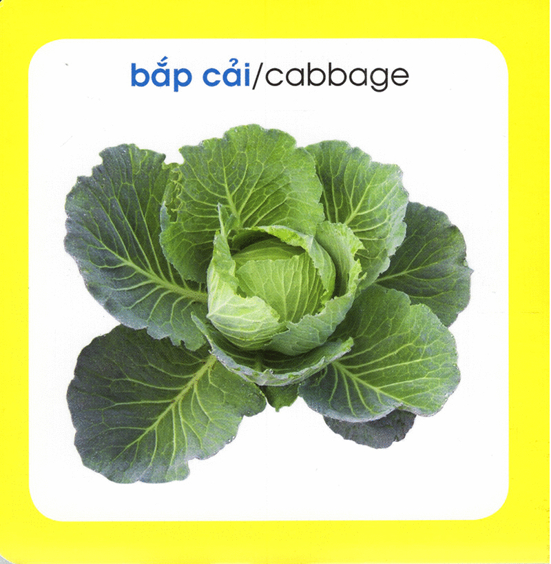 từ điển hình ảnh cho bé - rau củ (tái bản 2019)