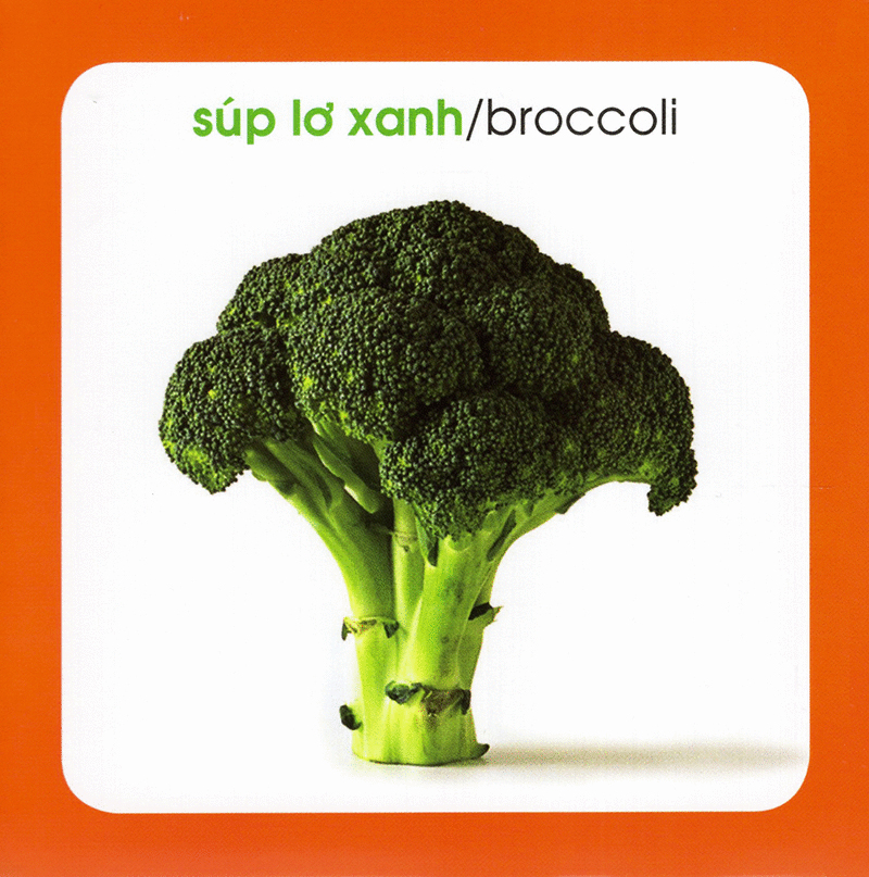 từ điển hình ảnh cho bé - rau củ (tái bản 2019)