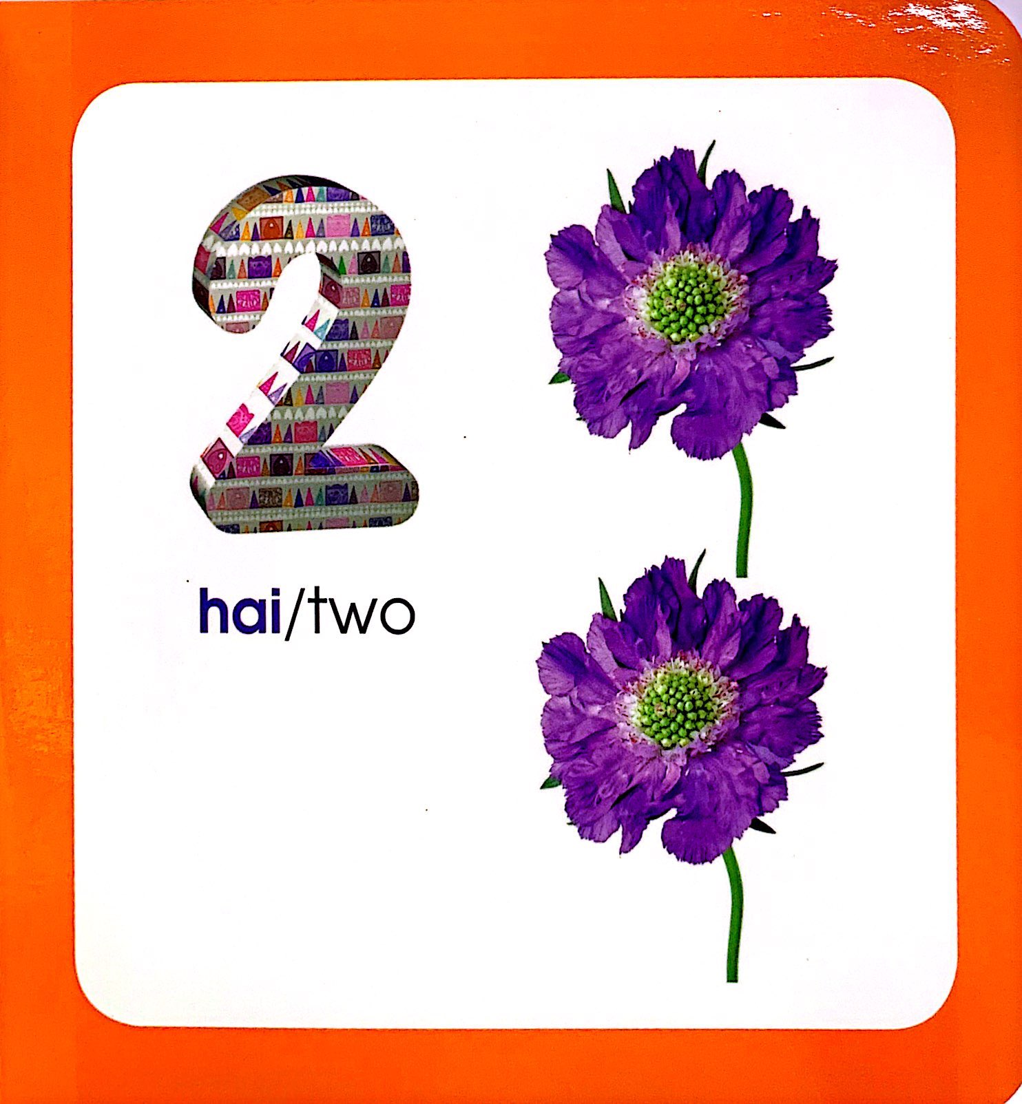 từ điển hình ảnh cho bé - số đếm (tái bản 2019)