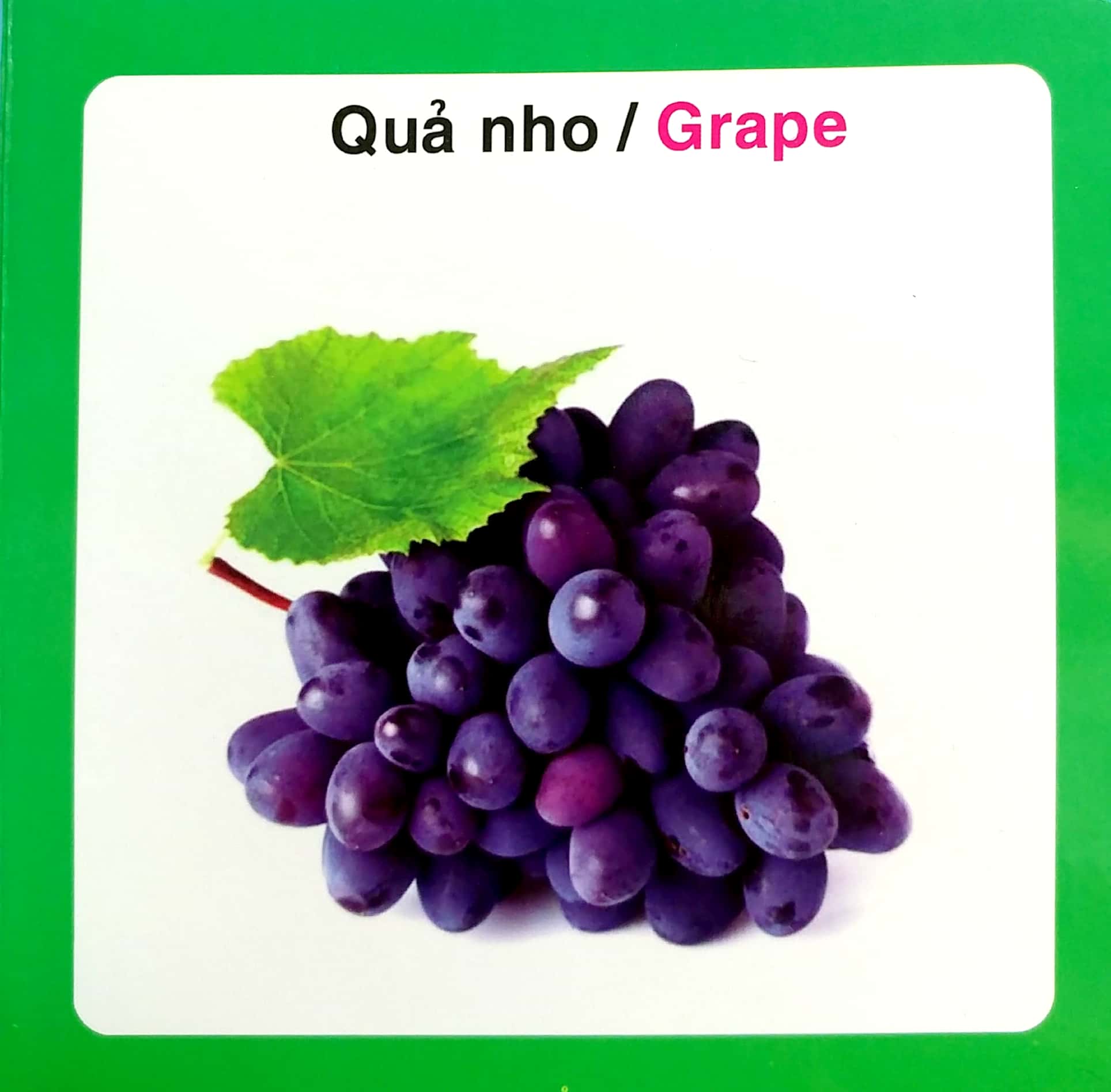 từ điển hình ảnh cho bé - trái cây