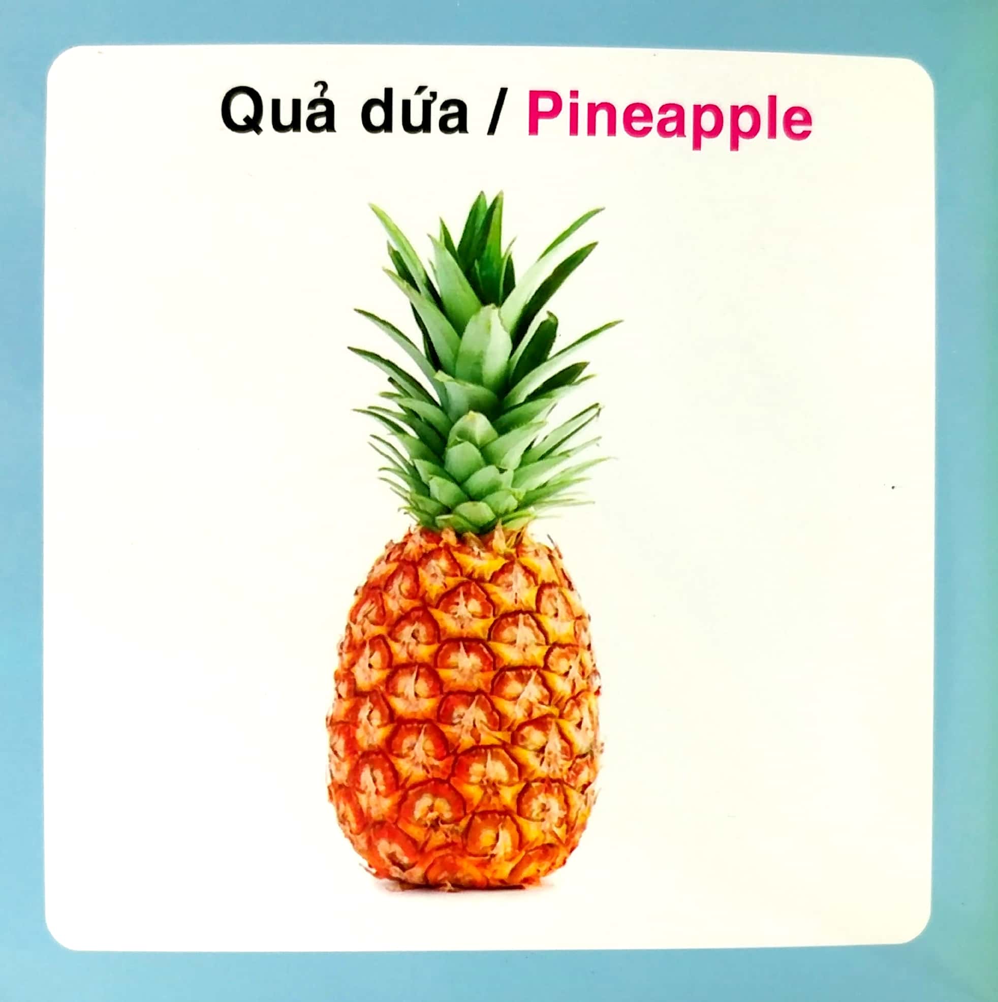 từ điển hình ảnh cho bé - trái cây