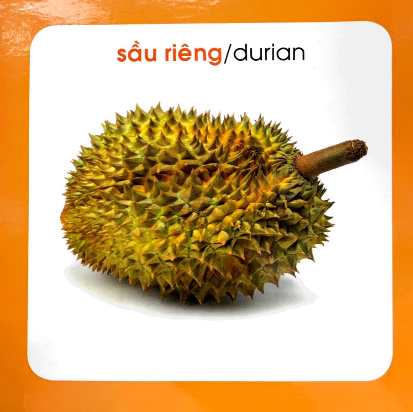 từ điển hình ảnh cho bé - trái cây (tái bản 2019)