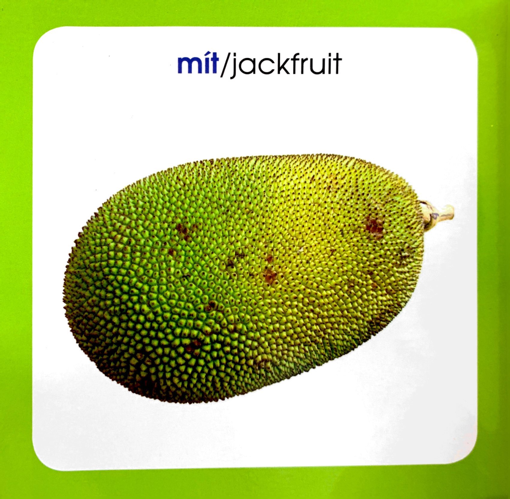 từ điển hình ảnh cho bé - trái cây (tái bản 2019)